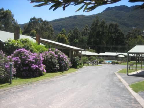 Halls Gap Log Cabins Exteriör bild